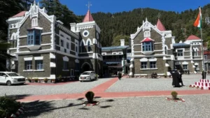 उत्तराखंड: स्ट्रीट डॉग्स के मुद्दे पर हाईकोर्ट सख्त, मुख्य सचिव सहित कई विभागों से मांगा जवाब