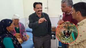 अल्मोड़ा में गुलदार का आतंक: घर में घुसकर 88 साल की बुजुर्ग महिला पर हमला