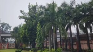 Uttarakhand Weather: उत्तराखंड में बदला मौसम, 4 जिलों में भारी बारिश का ऑरेंज अलर्ट; ऊंचाई वाले इलाकों में बर्फबारी के आसार